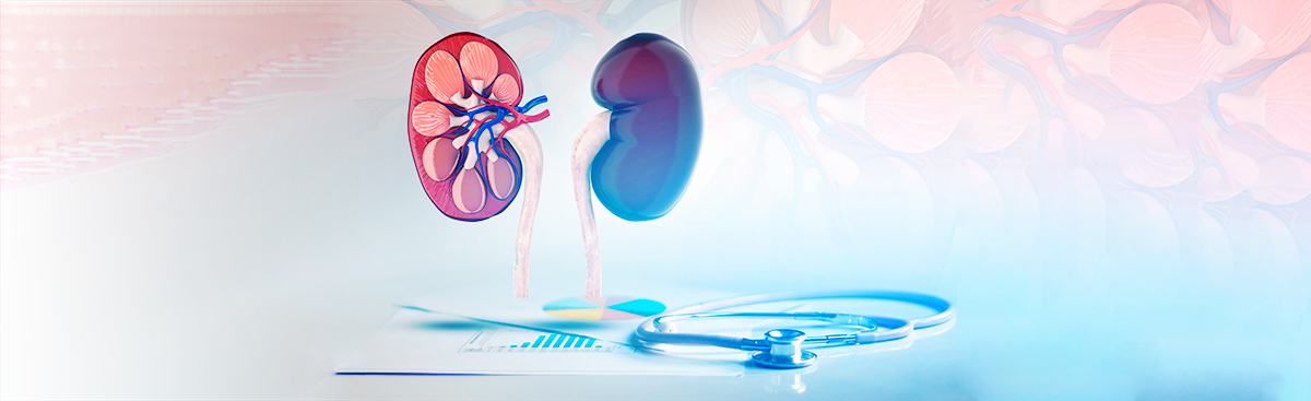 kidneys_SH_1018792465.jpg